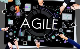 Agile и Lean: выживает только шустрый!