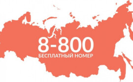 Предприниматели Екатеринбурга против номеров 8-800