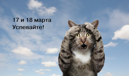17 и 18 марта Последний день приема заявок по госпрограмме!