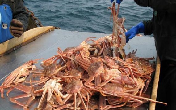Журналисты назвали организаторов передела «крабовых квот»