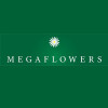 Megaflowers