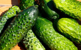 В Свердловской области подорожали овощи и мясо