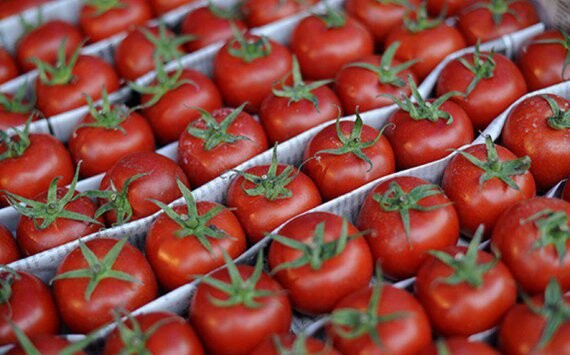 Россельхознадзор уничтожил на Среднем Урале 36 тонн санкционной продукции  