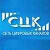 Сеть цифровых каналов