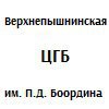 Верхнепышминская ЦГБ им. П.Д. Бородина