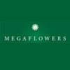 Megaflowers