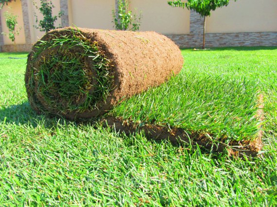 Рулонный газон под ключ – быстрое и долговечное озеленение вашего участка