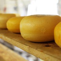 Крупнейший на Урале производитель сыра решил ликвидироваться