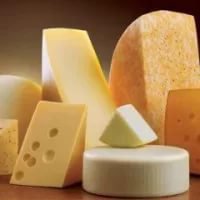 В Свердловской области открыли завод по производству сыров из козьего молока