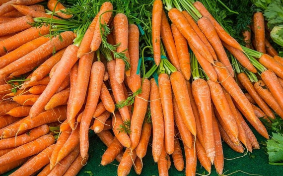 В Свердловской области морковь подешевела после критики Куйвашева
