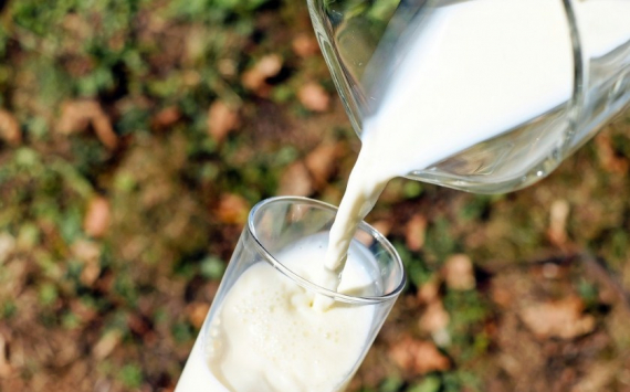 В Свердловской области доля молока и хлеба местных производителей достигла 90%