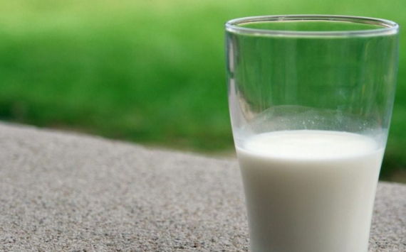 В Свердловской области аграрии и производители молока получат дополнительную поддержку